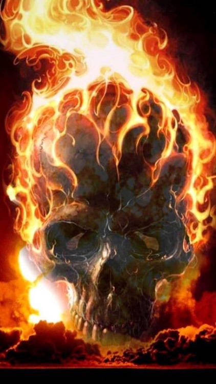 fire skull wallpaper hd