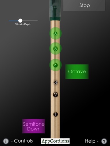 iPad Screenshot 1