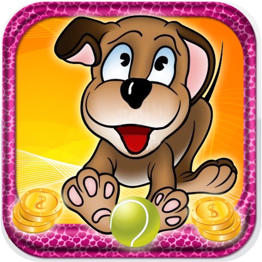 Casino pets