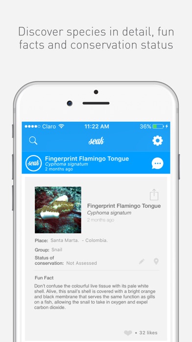 iPhone Screenshot 2