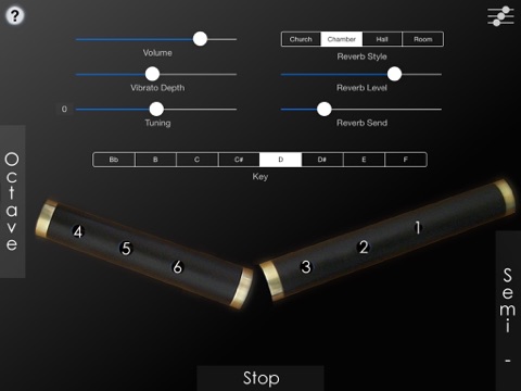 iPad Screenshot 2