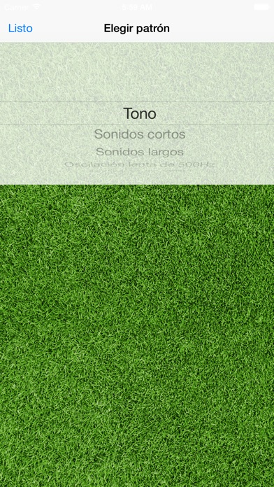 Captura de pantalla del iPhone 2