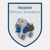 Molehill Primary Academy