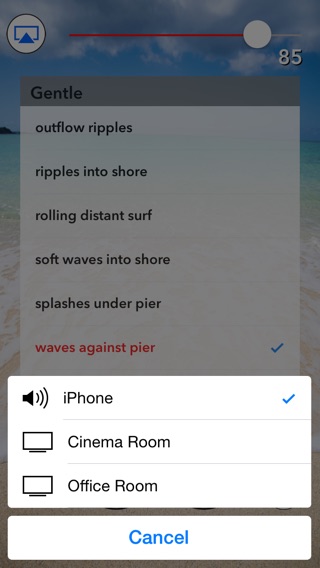 iPhone Screenshot 2