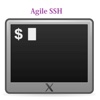 Agile SSH Client - GUI for SSH which support public/private keys authentication and multiple windows sessions windows os support 