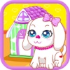 Maison neuve chiot