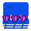CrocusContact