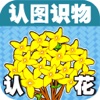 宝宝早教必备-认花识字—快乐家族幼儿启蒙教育识图卡免费