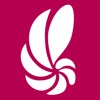 Toremar Quibee