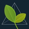 All About Leaf