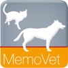 Anästhesie bei Hund und Katze