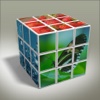 3D Flow Puzzle : New Brain Training Games - Blossom Blast World !