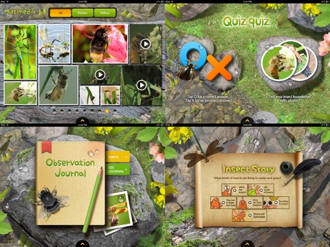 iPad Screenshot 5