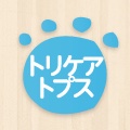 基本チェックリスト