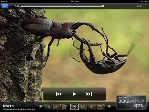 iPad 스크린샷 4