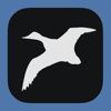 no app image