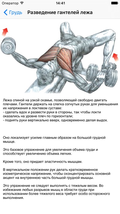 Снимок экрана iPhone 2