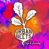 Urban Beets Cafe benelux cafe milwaukee 