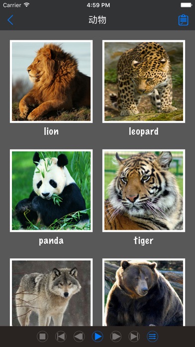 英语单词 - 图片轻松学习英语每日常用分类词汇