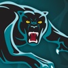 Panthers Complete League Sports Local Club Panthers Complete