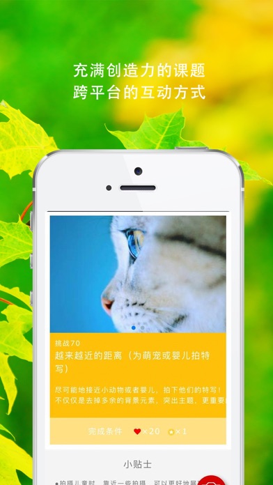 iPhone 屏幕快照 3