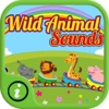 Wild Free Animal Sounds wild animal sounds 