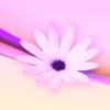 تطبيق المعلمات