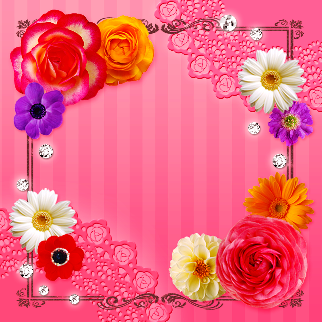 Elegant & Cute Wallpapers Ⅰ App Icon