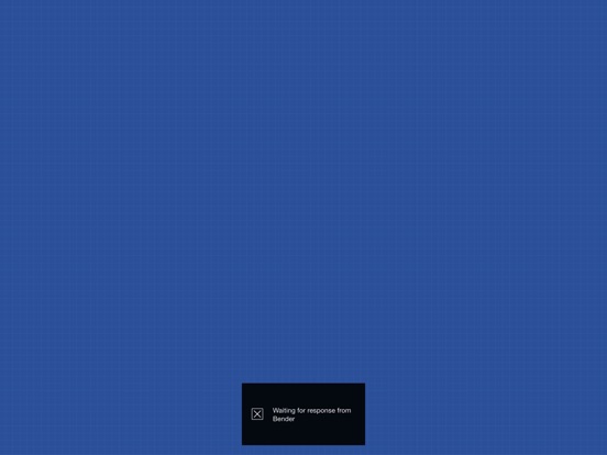 iPad Screenshot 2