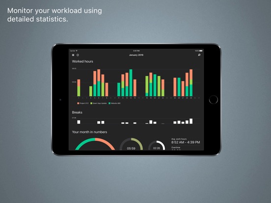 iPad Screenshot 2