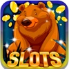 Lucky Forest Slots:Achieve the maple tree crown japanese maple tree 