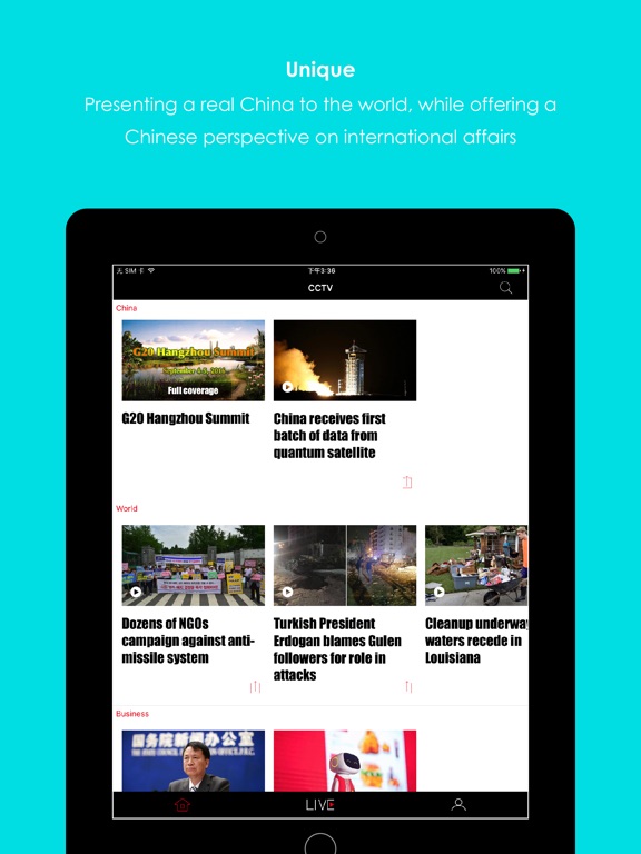 iPad 屏幕截图 1