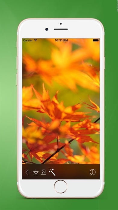 Moving Wallpaper for 10-Free Live wallpapers app