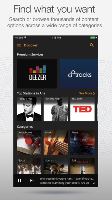 iPhone Screenshot 1