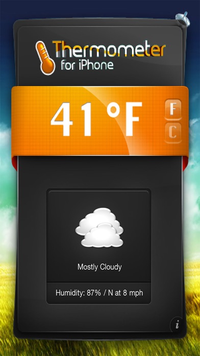 iPhone Screenshot 2
