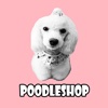 푸들샵 - poodleshop