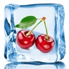 Fruit Coctail