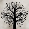 Brian Pask Logs