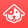 DogBuddy - Dein Lieblingshundesitter