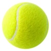 Fun: Maria Sharapova edition