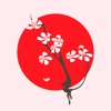 Sakura51