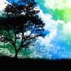 Nature Music - Relaxing Sounds Of Nature to Calm, Reduce Stress & Anxiety Release nature field 