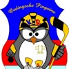 Oedingsche Pinguine