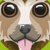 MiZoo Die App rund ums Tier