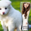 InstaMag - Pet Camera and Cute Animal and Photo Editor