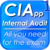 CIA Internal Auditor Certification 1400 Notes & Quiz (part1)