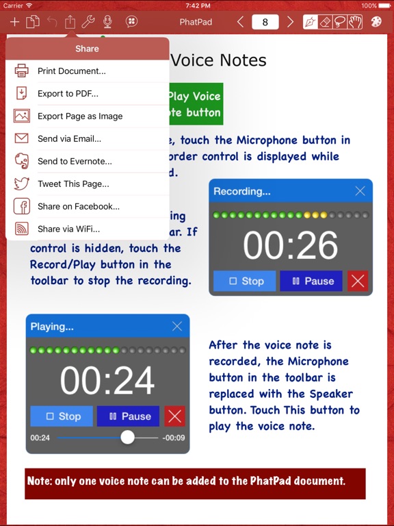 iPad Screenshot 2