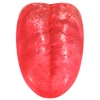 Regions of Tongue 3D
