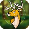 Big Buck Hunter Outdoor Adventures