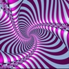 Optical Illusions Info Kit